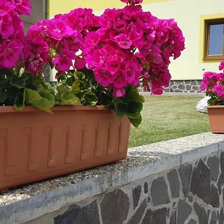 Apartment Zatura Vysna Sunava